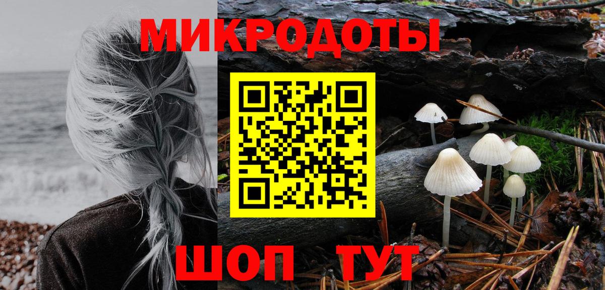 Тимашёвск  Псилоцибиновые грибы мухоморы  Вход с VPN  Галлюциногенные грибы мицелий 